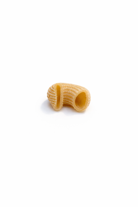 Single piece of pasta on a white background, Lumache