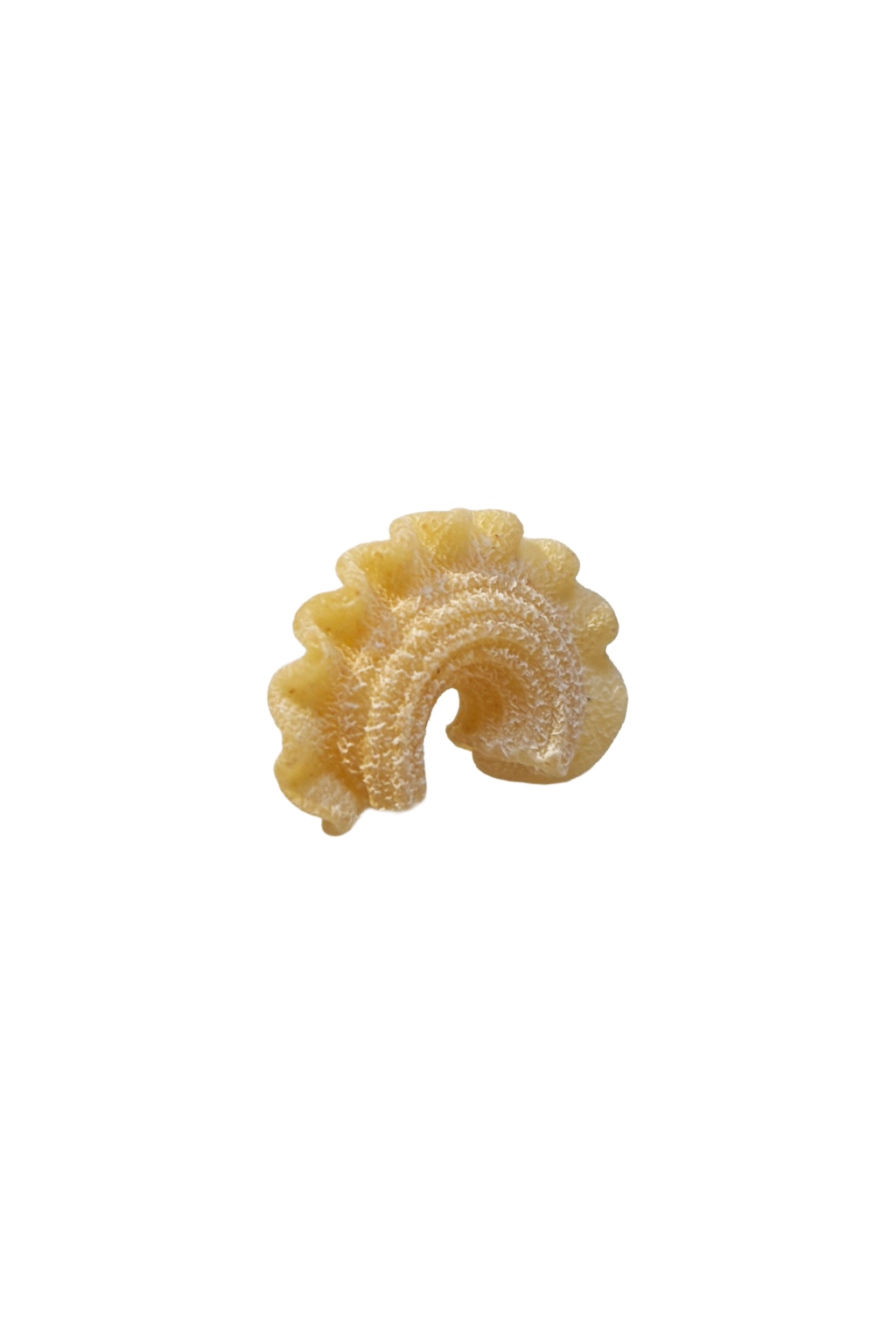 Single Creste Pasta