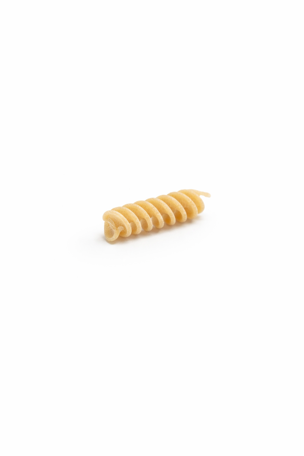 Single piece of pasta on a white background, Fusilli