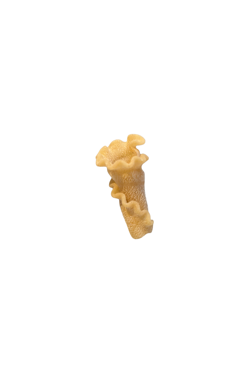 Single Trumpets Pasta