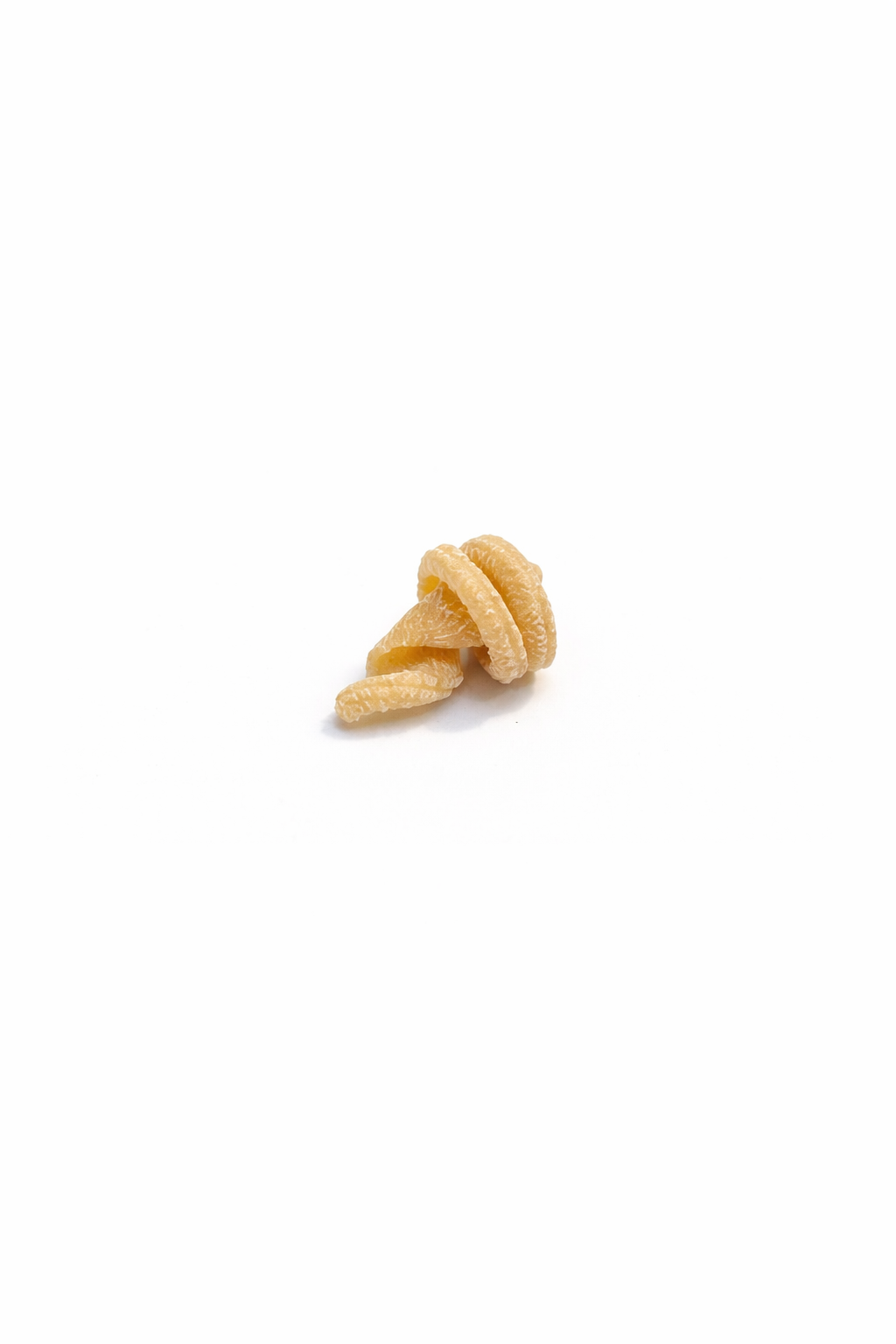 Single piece of pasta on a white background, Vorti-cee