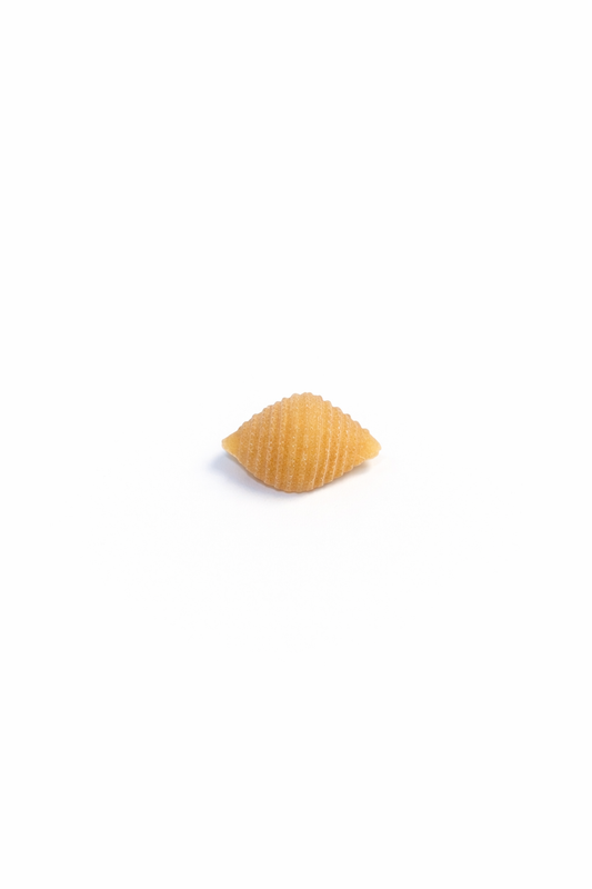 Single piece of pasta on a white background, Shells